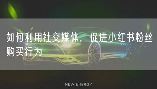 如何利用社交媒体，促进小红书粉丝购买行为