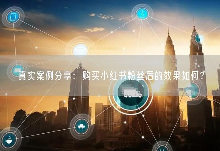 真实案例分享:购买小红书粉丝后的效果如何?