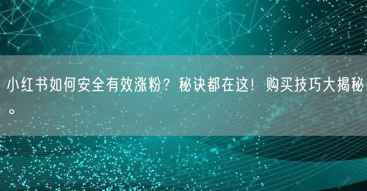 小红书如何安全有效涨粉？秘诀都在这！购买技巧大揭秘。