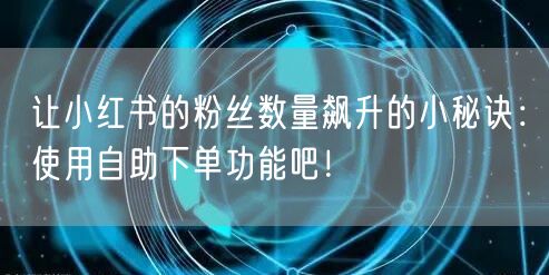 让小红书的粉丝数量飙升的小秘诀：使用自助下单功能吧！