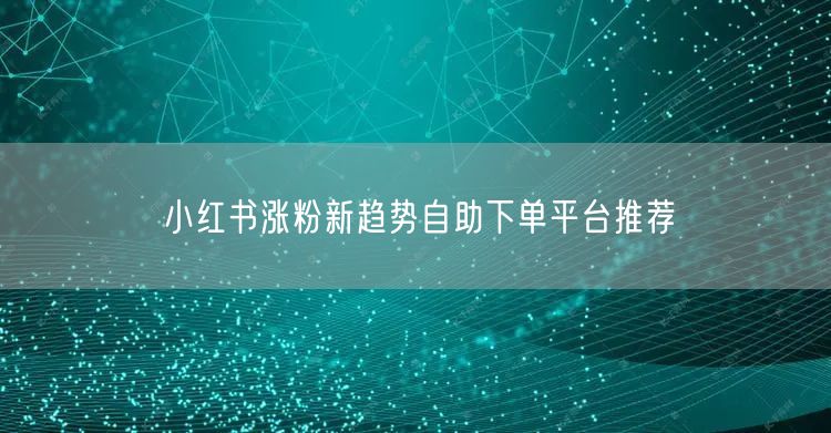 小红书涨粉新趋势自助下单平台推荐